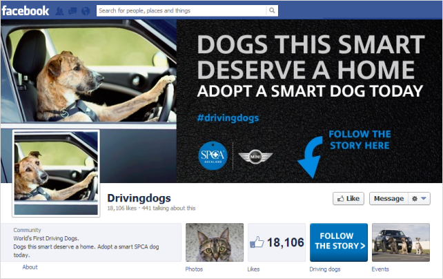 dog drive facebook page